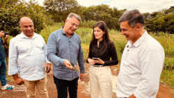 Imagem 2