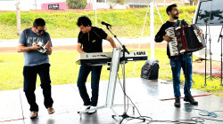 Imagem 6