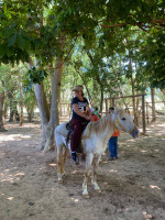 Imagem 6