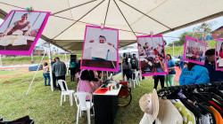 Imagem 10