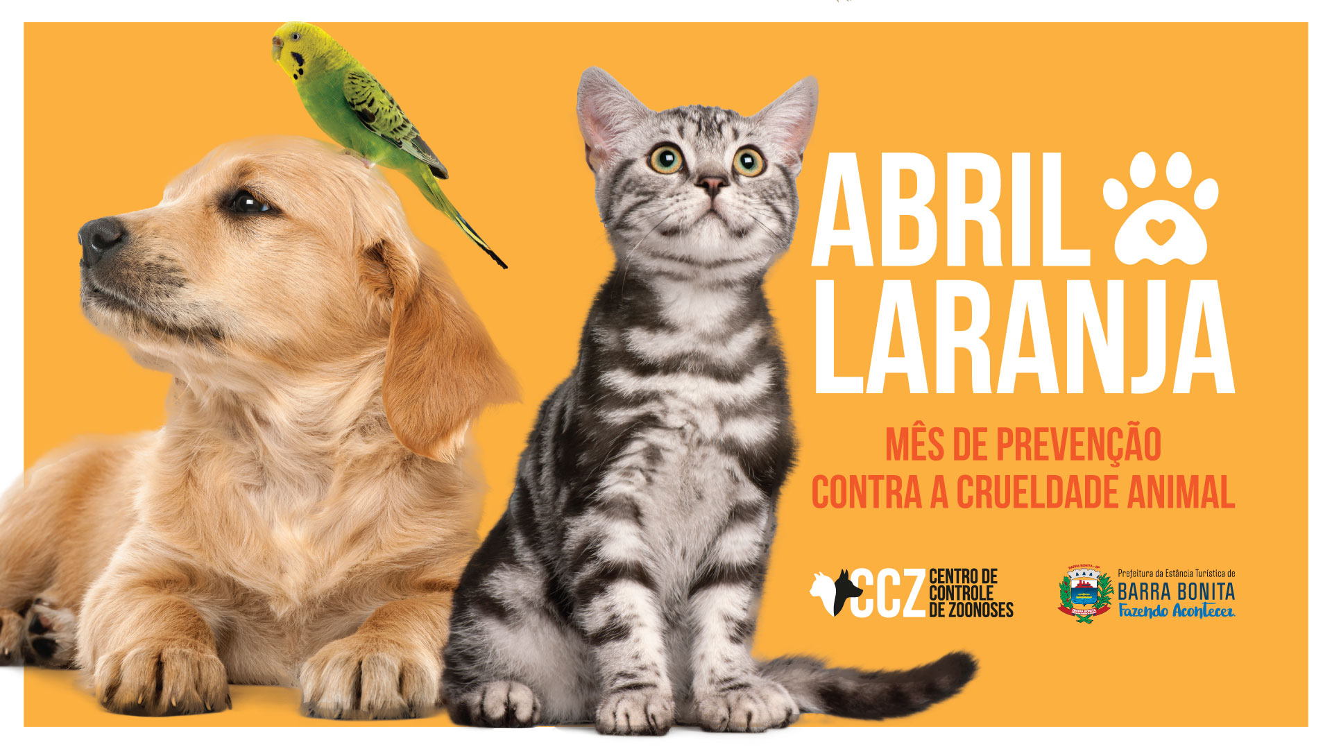 ABRIL LARANJA PROMOVE A PREVENÇÃO CONTRA A CRUELDADE ANIMAL