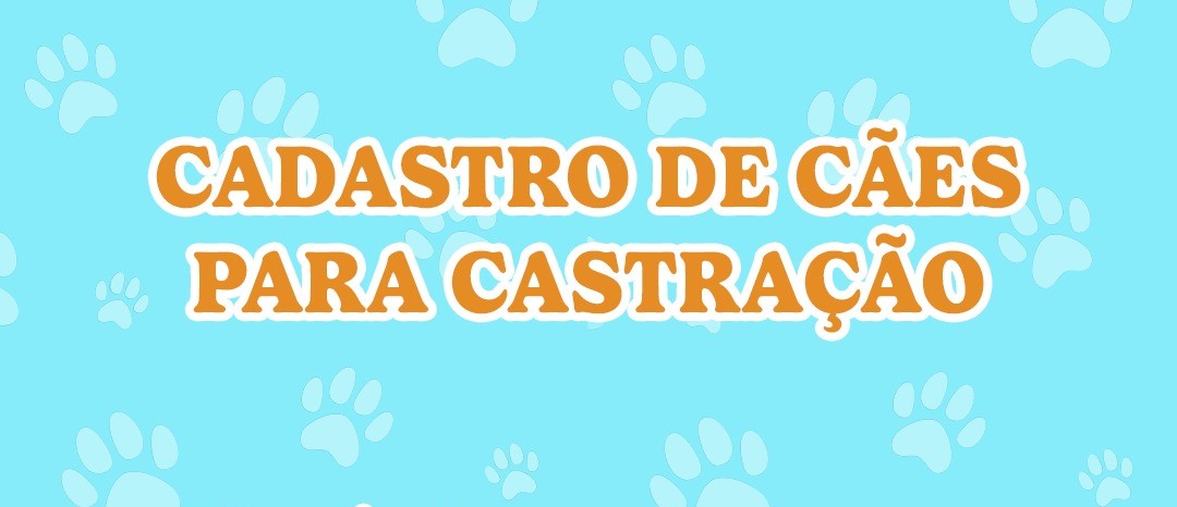 PREFEITURA REALIZA CASTRAÇÃO GRATUITA DE CÃES PARA FAMÍLIAS DE BAIXA RENDA | SAIBA COMO SE INSCREVER