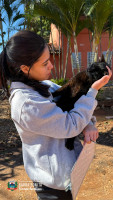 Imagem 4