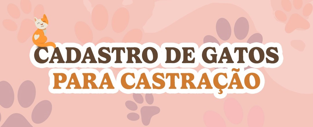 PREFEITURA REALIZA CASTRAÇÃO GRATUITA DE GATOS PARA FAMÍLIAS DE BAIXA RENDA - SAIBA COMO SE INSCREVER