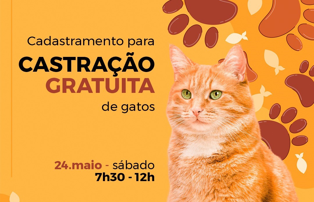 PREFEITURA DE BARRA BONITA REALIZA CADASTRAMENTO PARA CASTRAÇÃO GRATUITA DE GATOS NESTE SÁBADO (24/5) PREFEITURA DE BARRA BONITA REALIZA CADASTRAMENTO PARA CASTRAÇÃO GRATUITA DE GATOS NESTE SÁBADO (24/5)