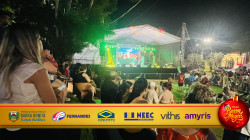 Imagem 17