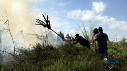 Imagem 8