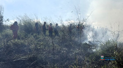 Imagem 5