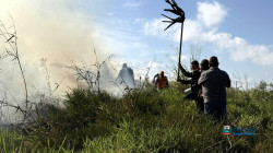 Imagem 9
