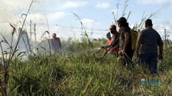 Imagem 6