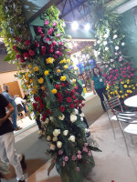 Imagem 3