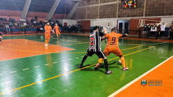 Imagem 7