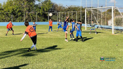 Imagem 7
