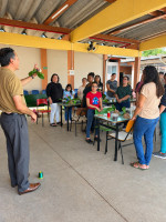 Imagem 11