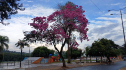 Imagem 2