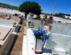 Imagem 6