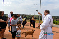 Imagem 4