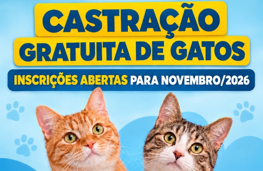 PREFEITURA DE BARRA BONITA ABRE VAGAS PARA CASTRAÇÃO GRATUITA DE GATOS