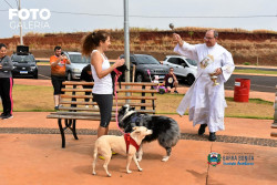 Imagem 3