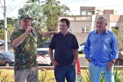 Imagem 12