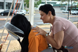 Imagem 12